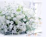 БЕЛ ЭЛЕКТР1